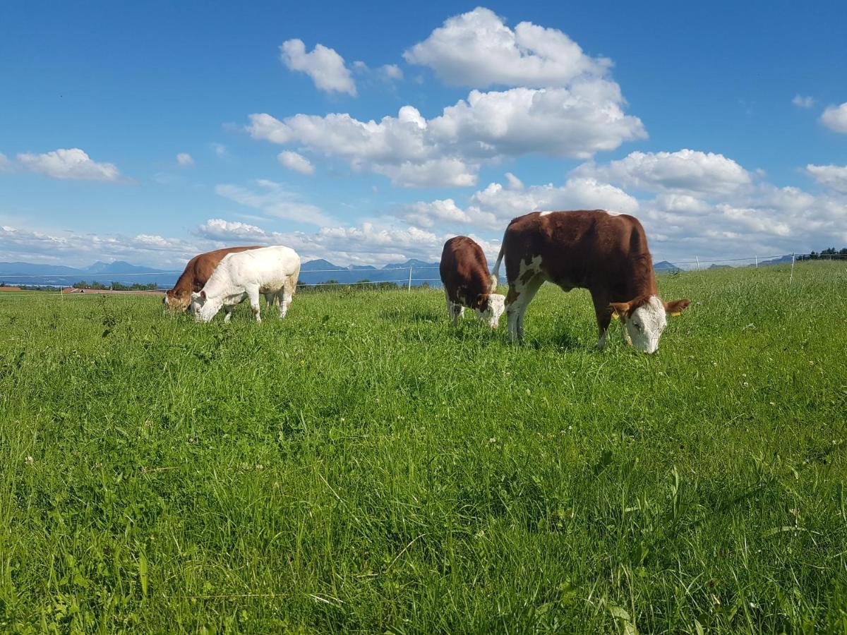 Gaestehaus Annemarie Rimsting Zewnętrze zdjęcie